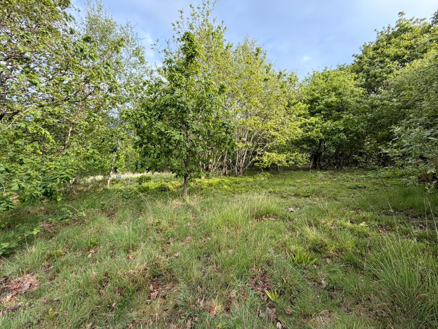 Approximately 5.706 acres adjacent to, Afan Valley Road, Cwmavon, Port Talbot SA12 9HA